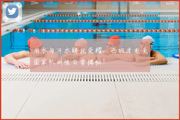 泪水与汗水铸就荣耀，西班牙电竞国家队训练日常揭秘！